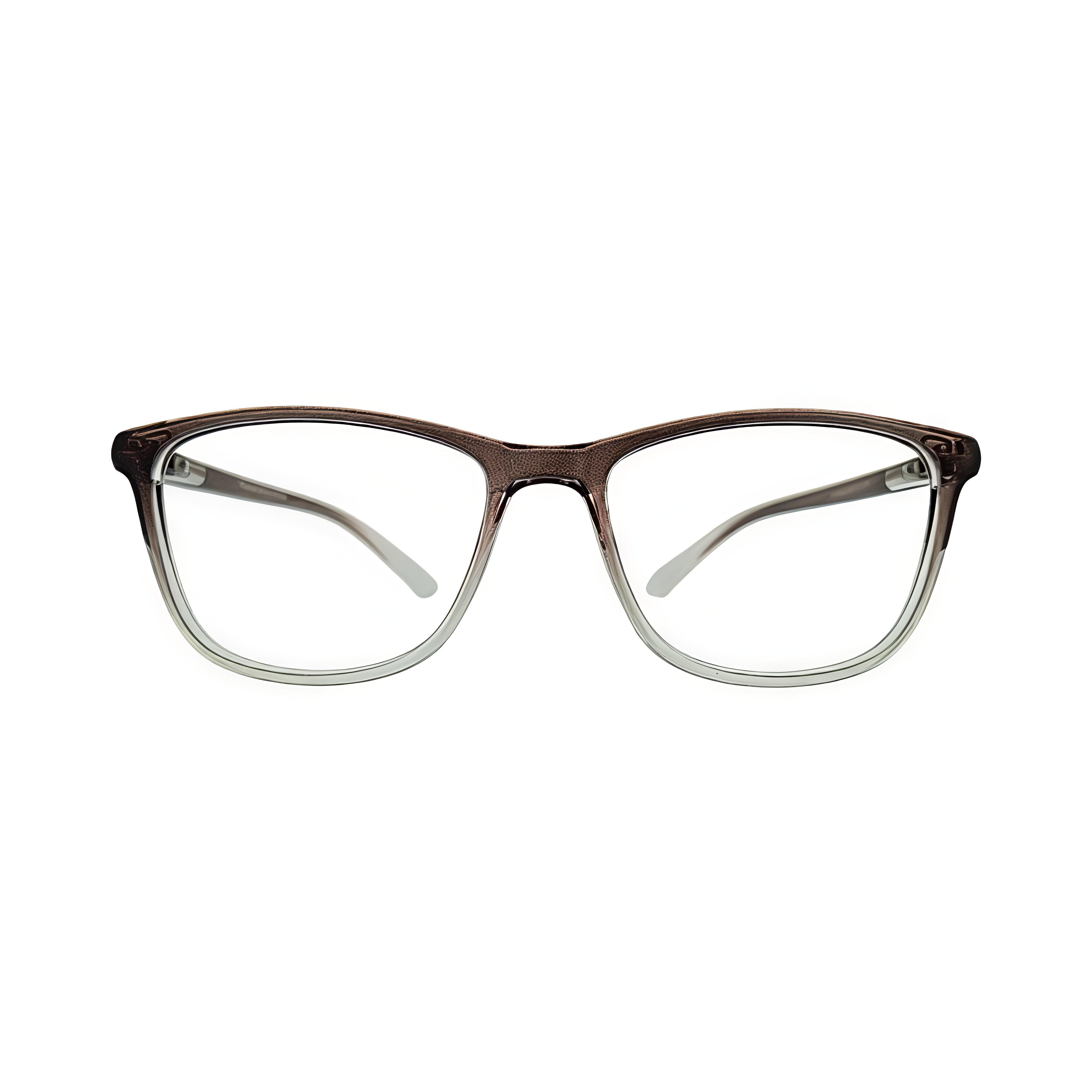 Stinic Eyewear Wayfarer Mini Brown & Transparent